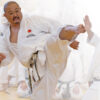 SHOBU_Uramawashi_ohneLogo SHOBU Kumite